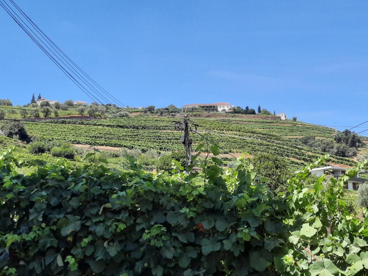 Casa Da Ruela No Rodo Lägenhet Peso da Régua Exteriör bild